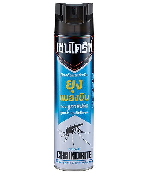 เชนไดร์ท (Chaindrite) เชนไดร้ท์ สูตรน้ำ ป้องกันและกำจัดยุง แมลงบิน กลิ่น ยูคาลิปตัส 600 มล.  