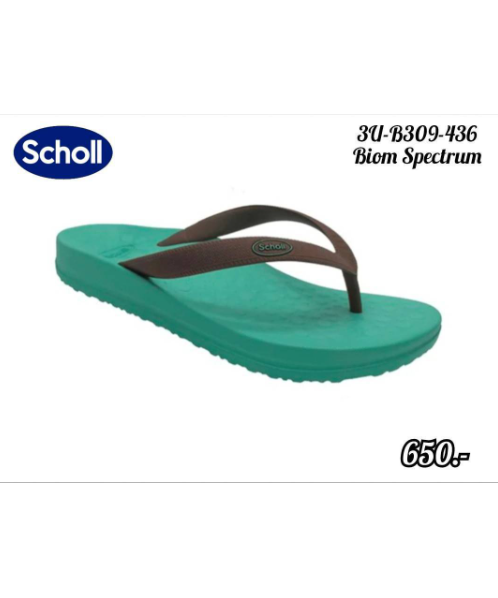 สกอลล์ (scholl) รองเท้า Scholl Scholl_Spectum สีเขียว